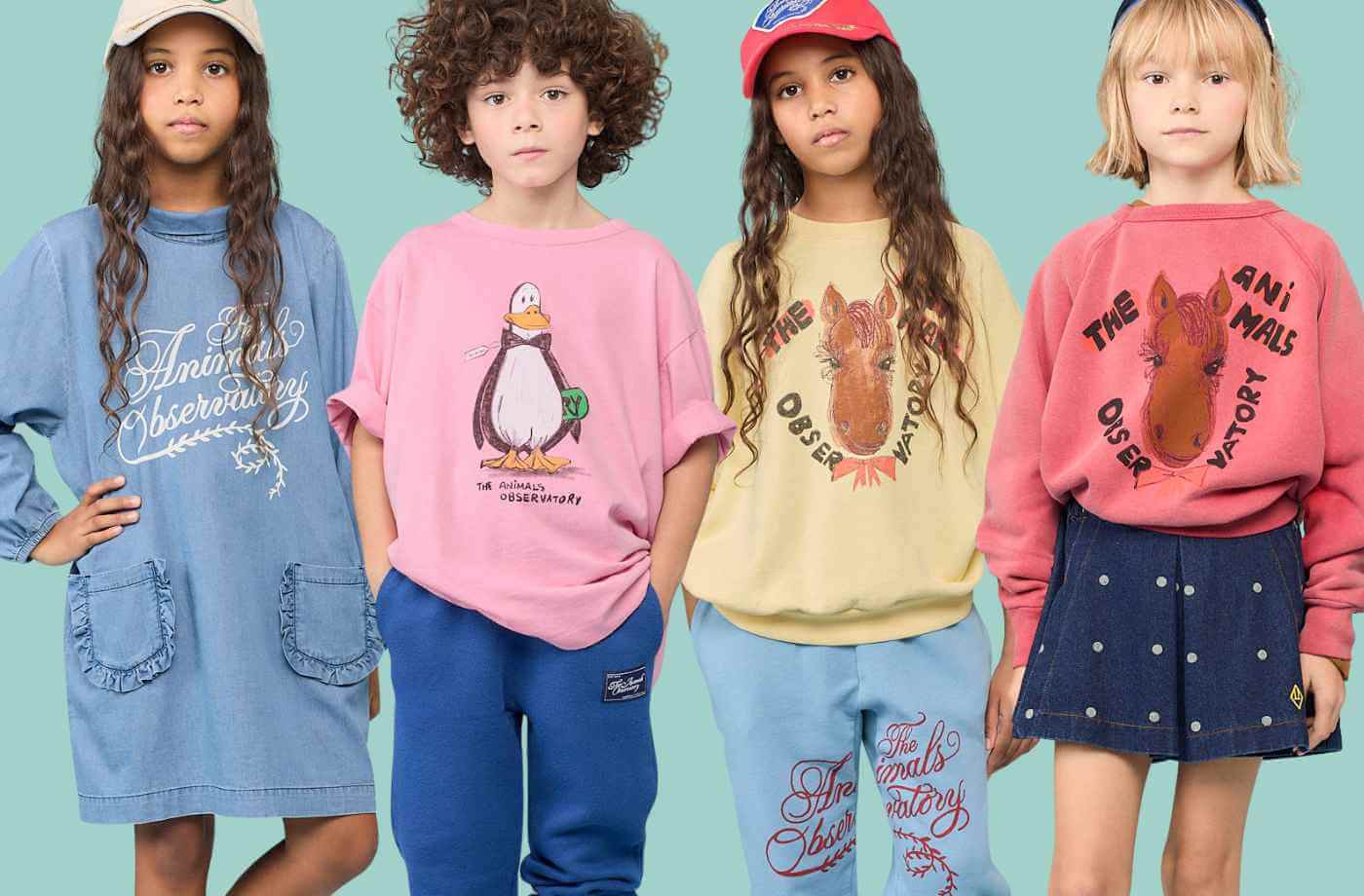 the animals observatory fashion