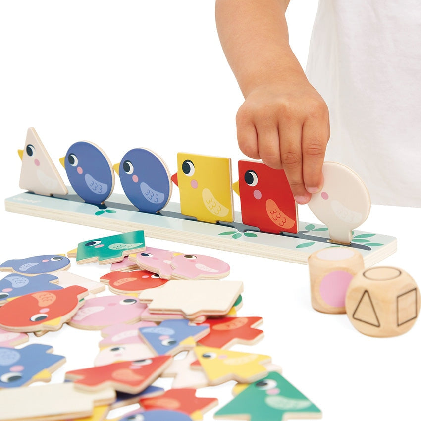 Sorting Shapes, Sizes And Colours – Birds