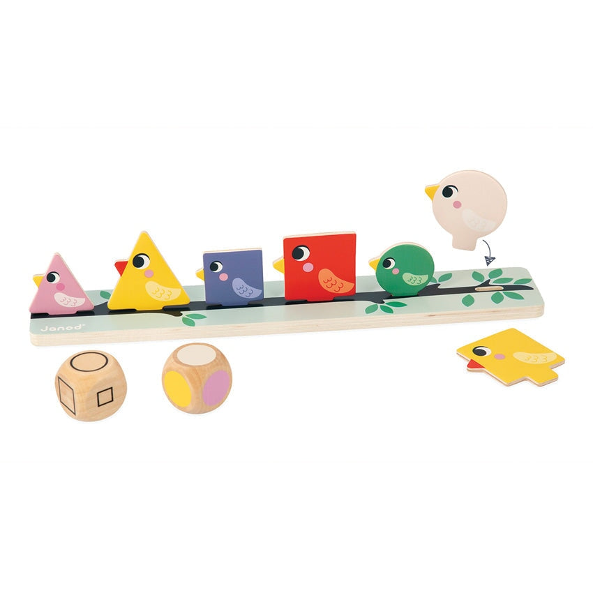 Sorting Shapes, Sizes And Colours – Birds