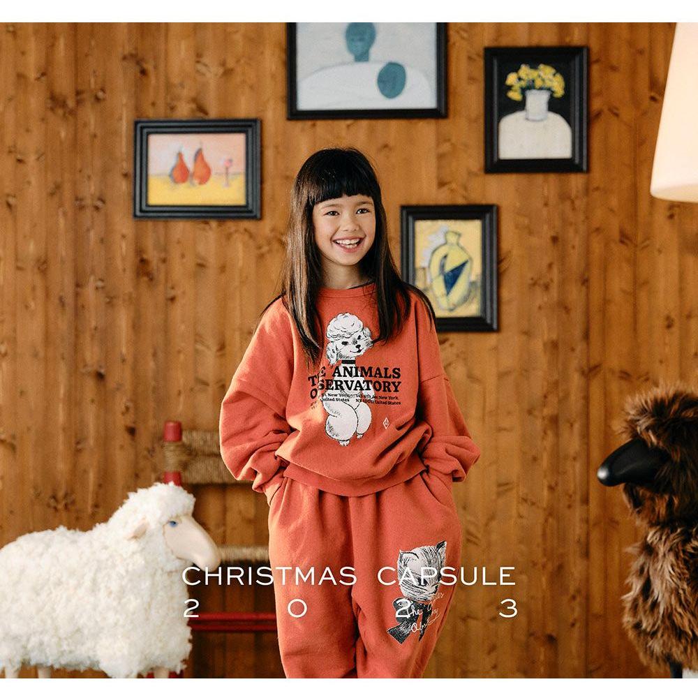 Big Bear Oversize Sweatshirt Red