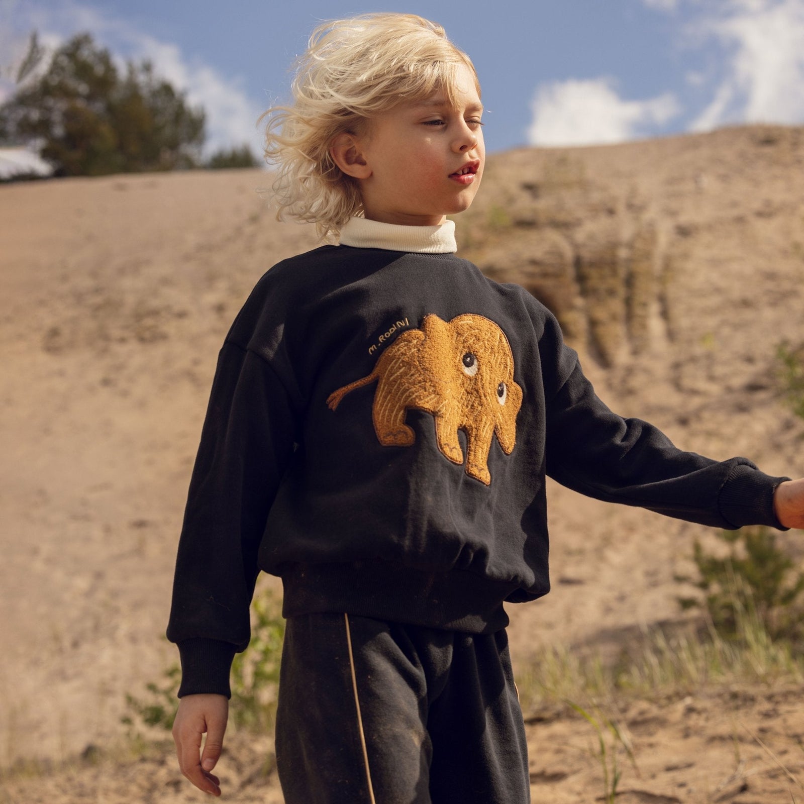 Mammoth Chenille Sweatshirt