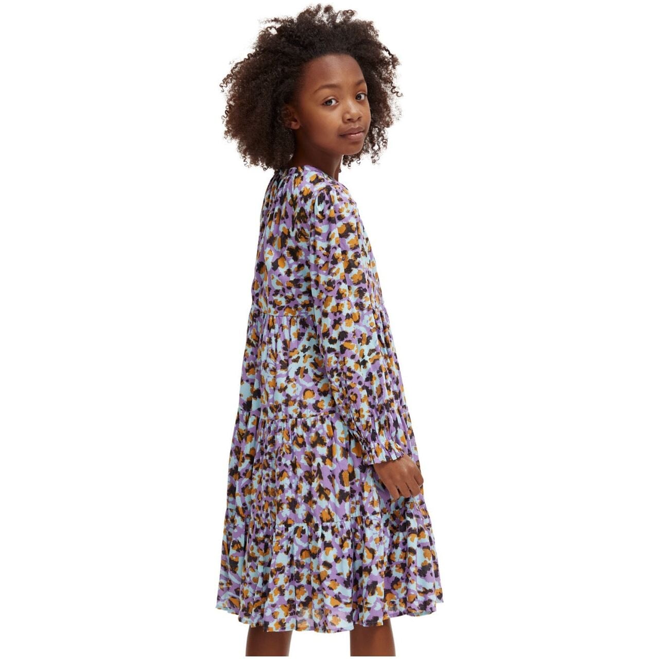 Printed Panelled Dress