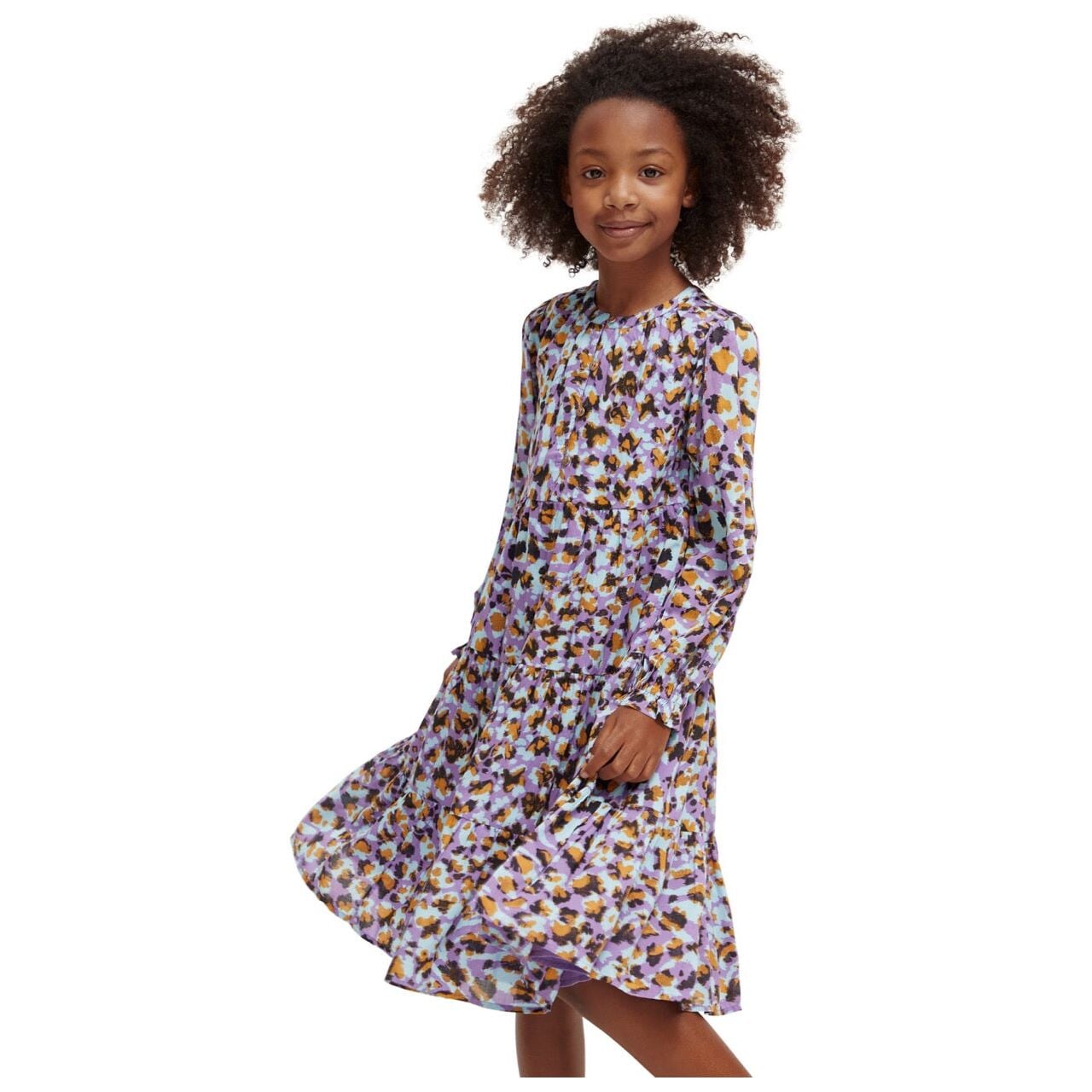 Printed Panelled Dress