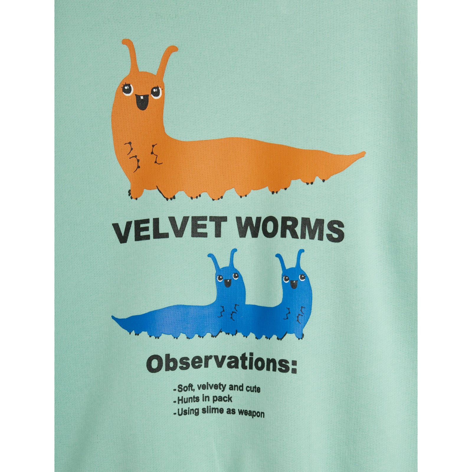 Velvet Worms Observations Sweatshirt