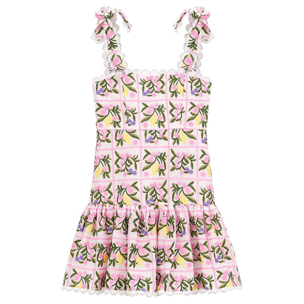 Millie Embroidered Mini Dress