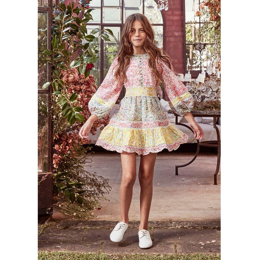 Oriane Embroidered Dress - Multi