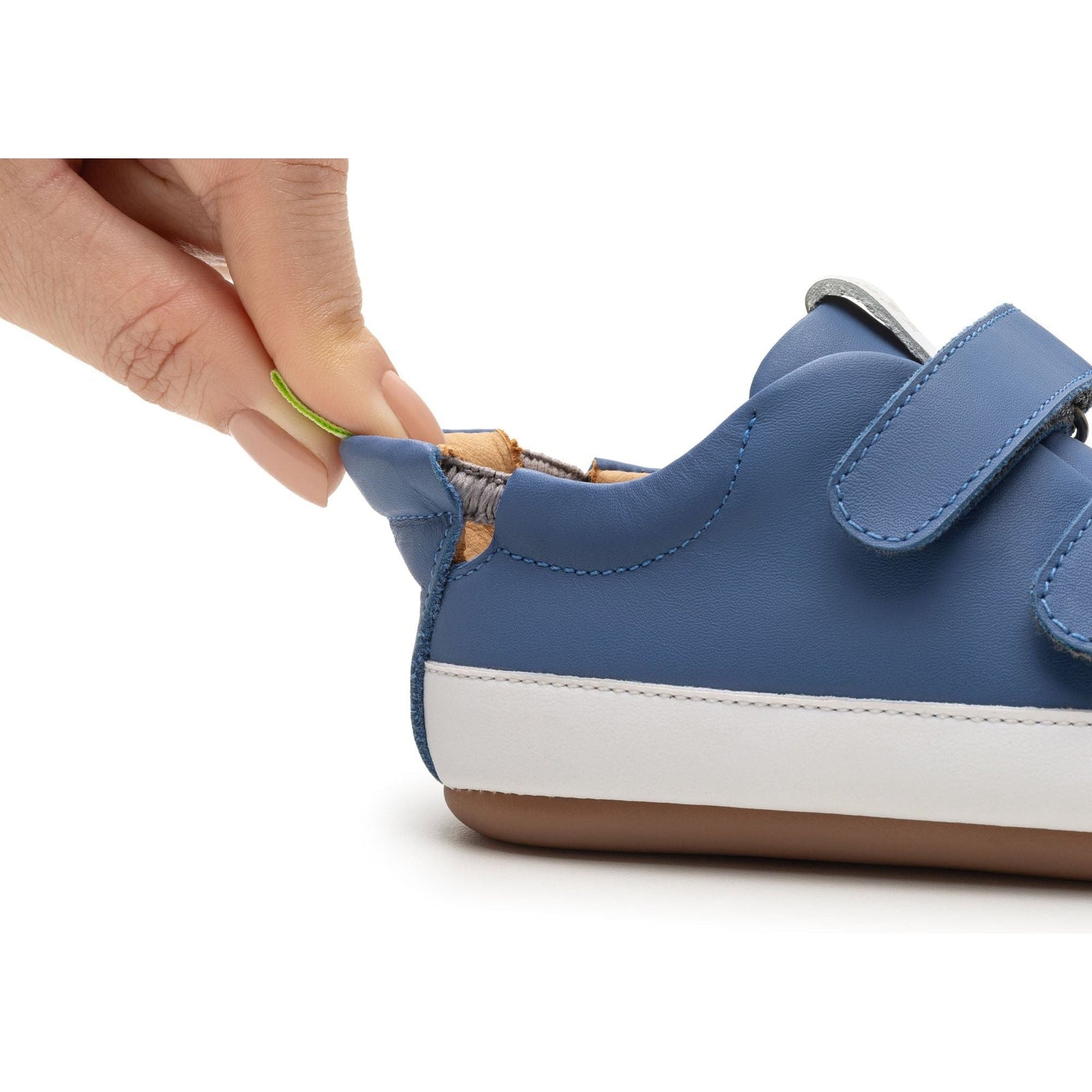 Bossy Sneakers - Blue Tang