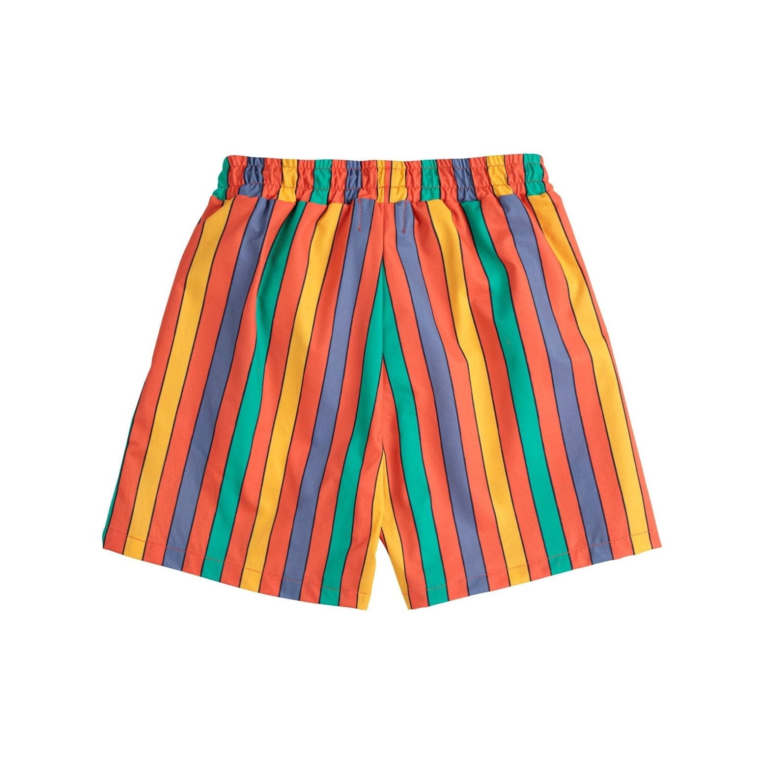 Multicolor Stripes Swim Board Shorts
