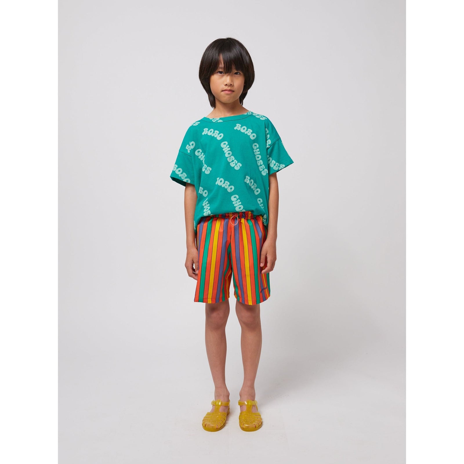 Multicolor Stripes Swim Board Shorts