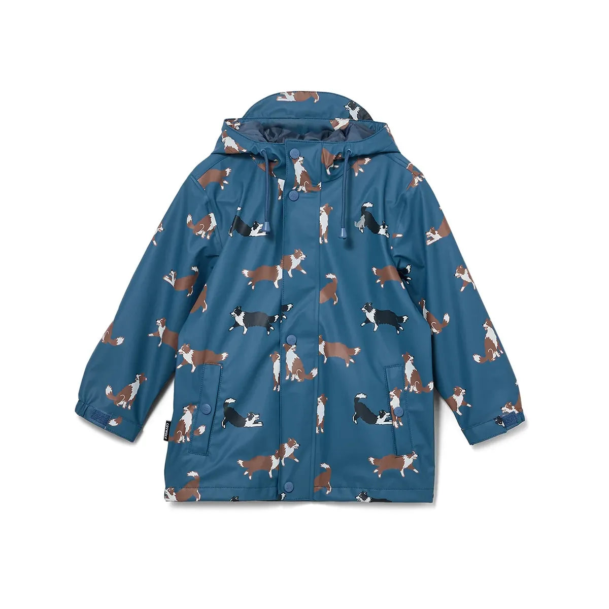 PLAY JACKET - Collies