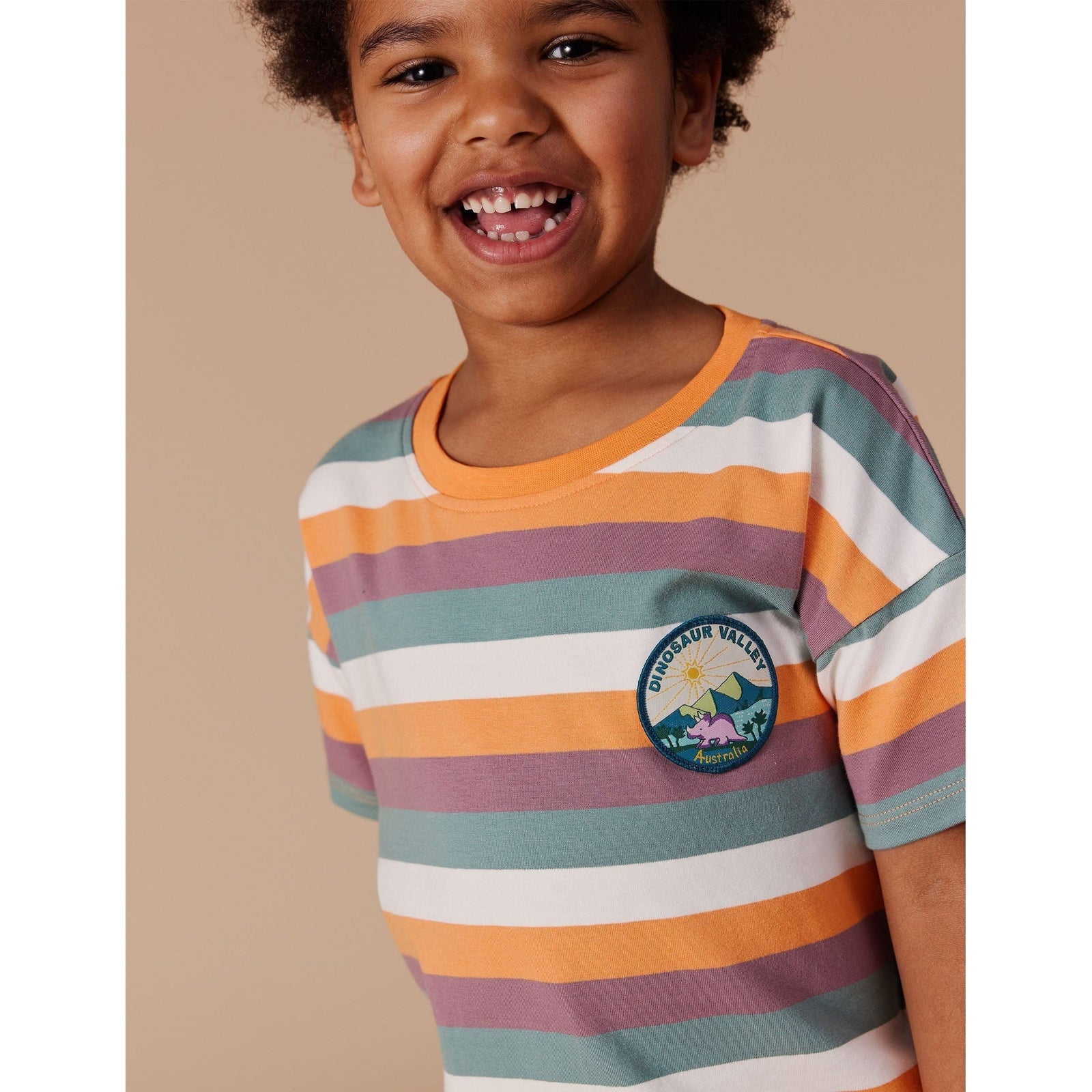 Dino Valley Nostalgia Stripe T-Shirt