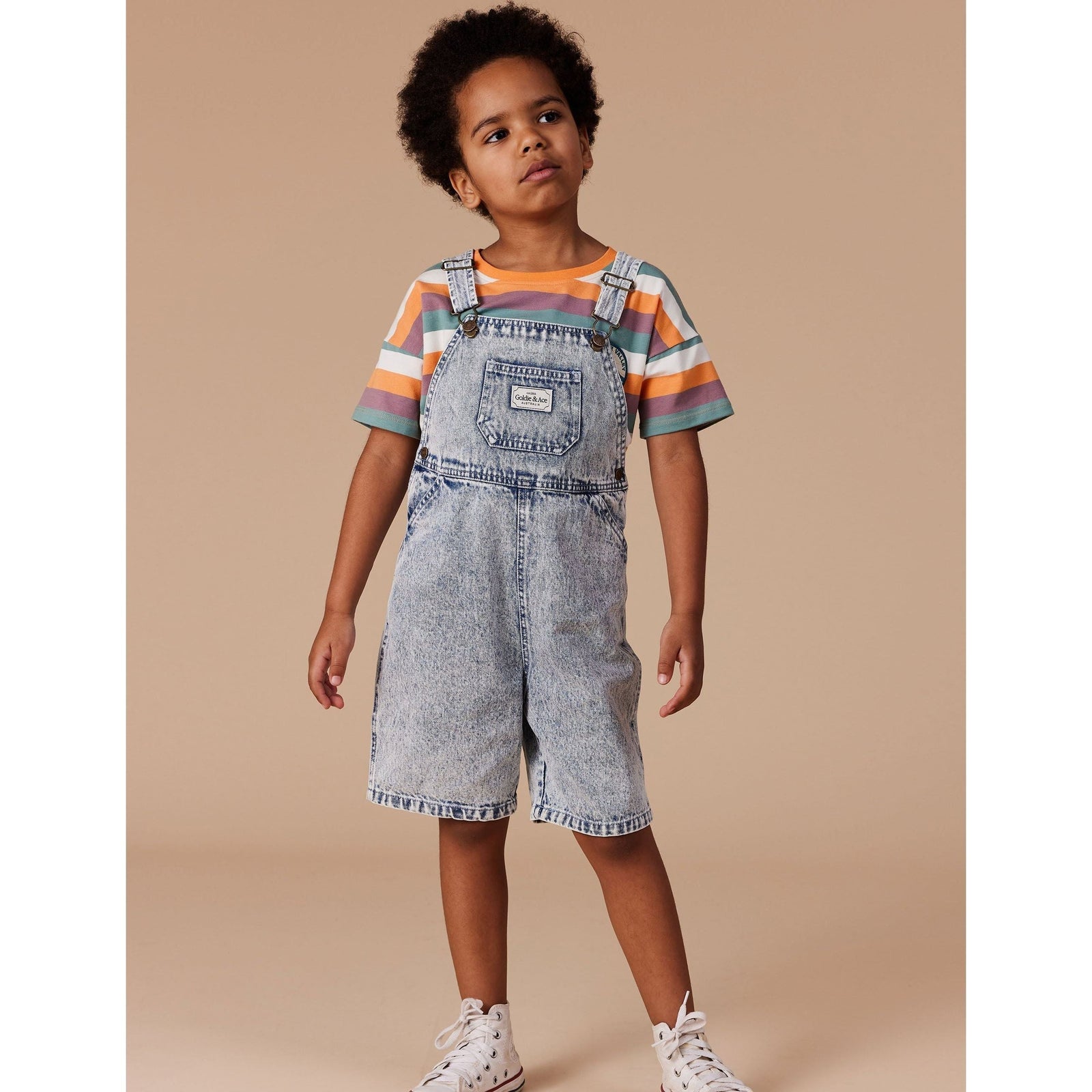 Dino Valley Nostalgia Stripe T-Shirt