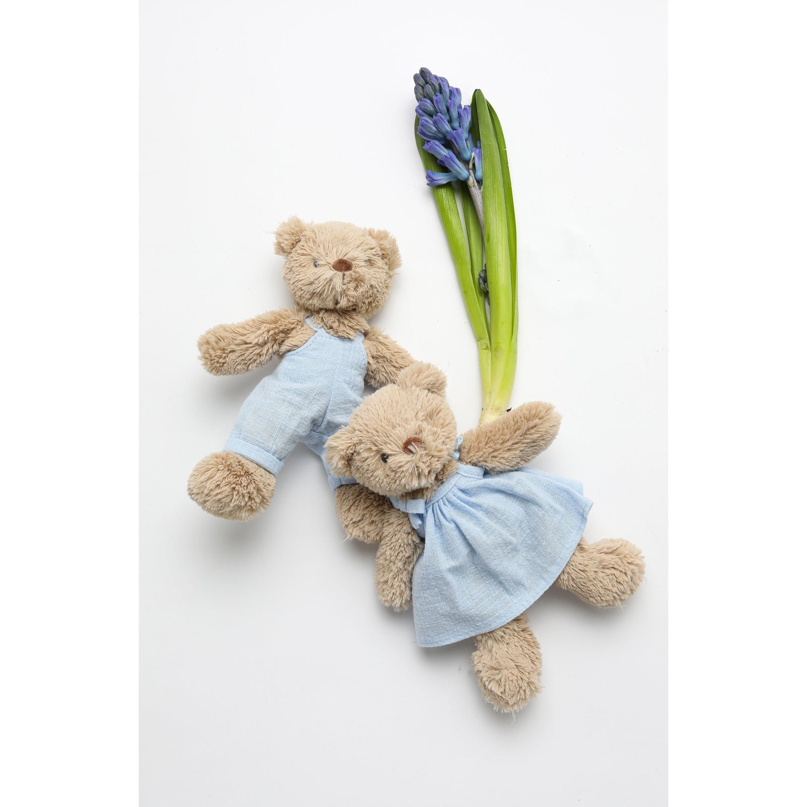 Baby Honey Bear - Dress Baby Blue