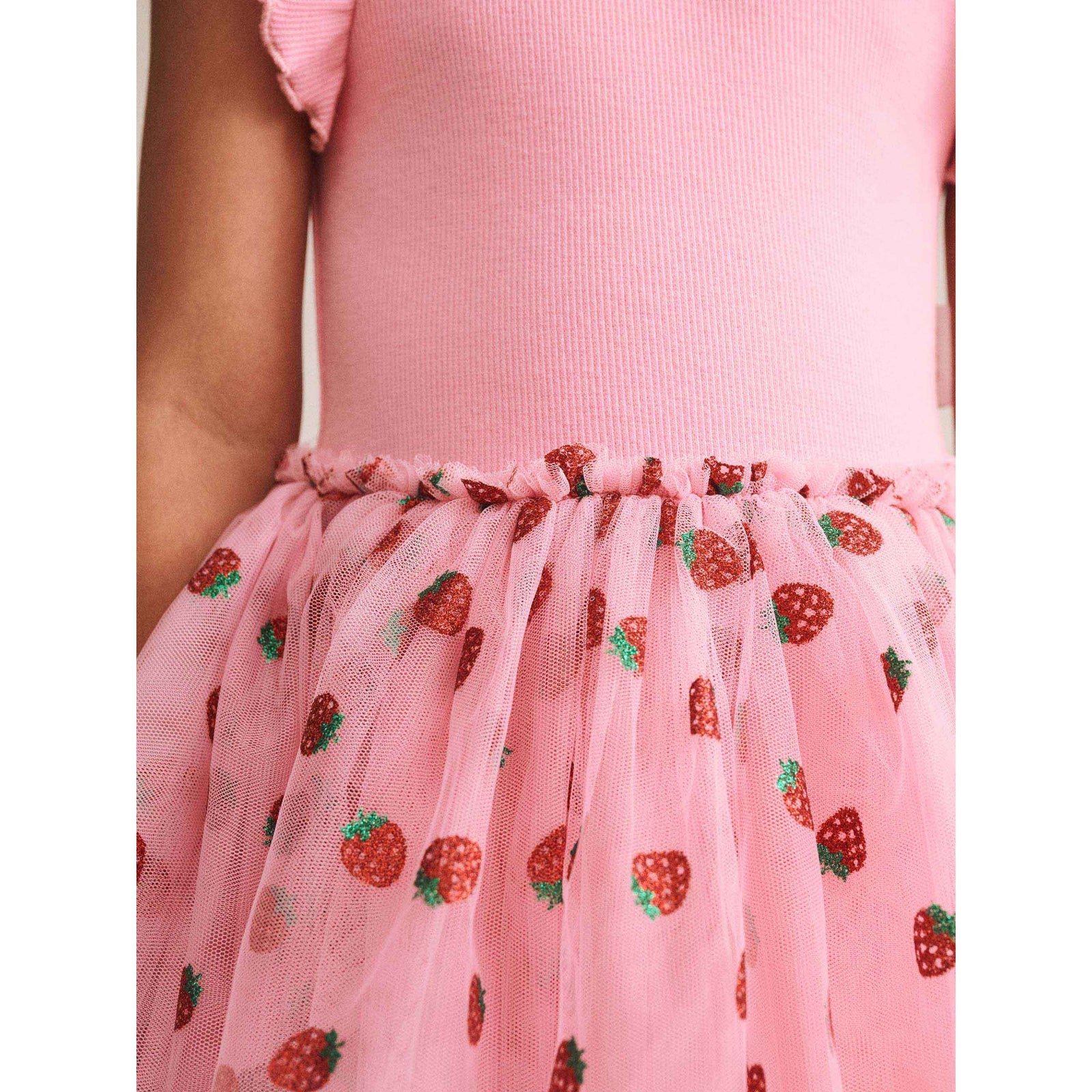 Strawberry Emb S/Slv Tulle Dress