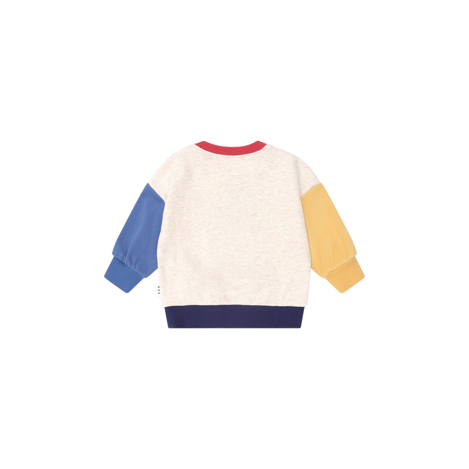 Camping Dino Colour Block Sweatshirt