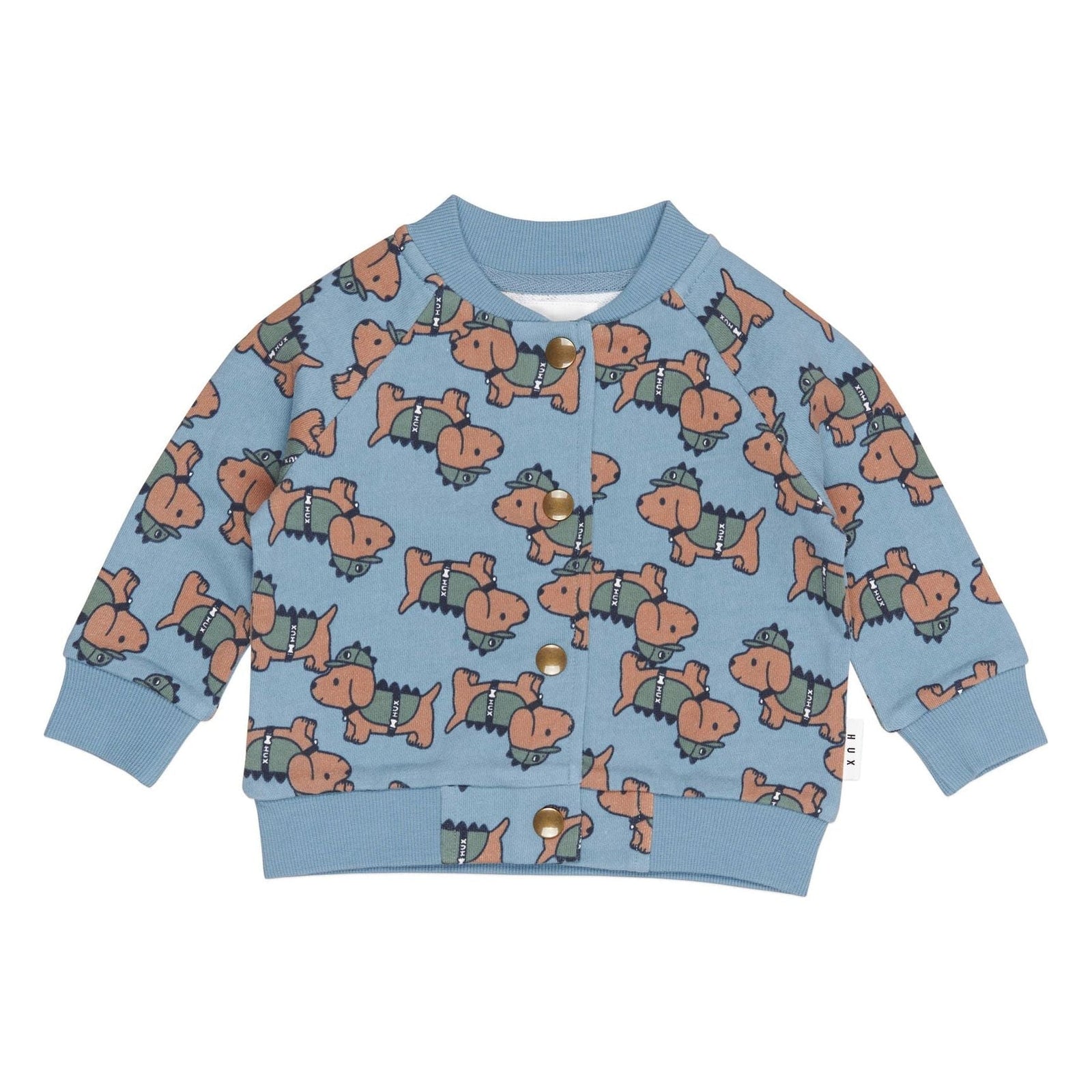Dino Dog Bomber Mountain Blue