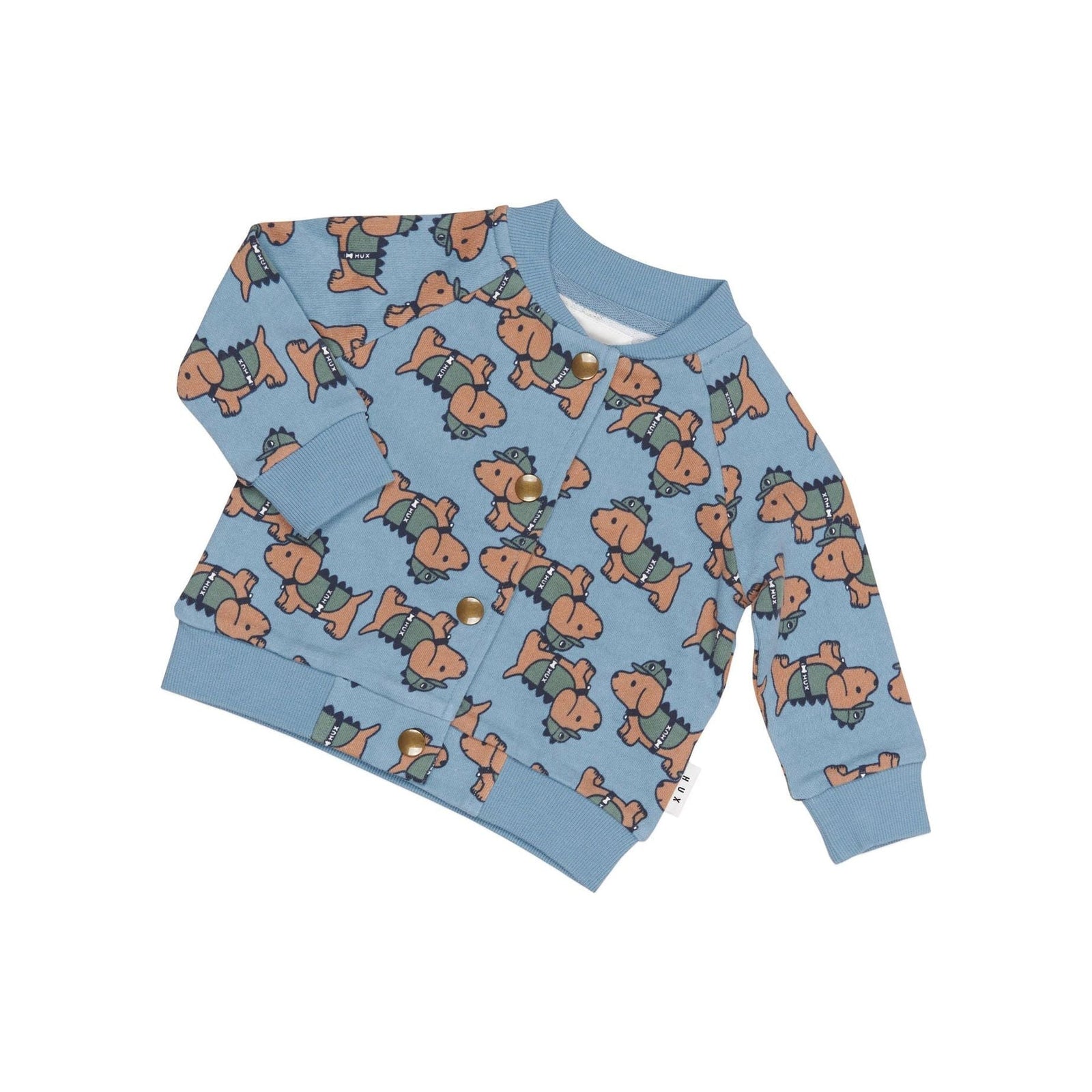 Dino Dog Bomber Mountain Blue