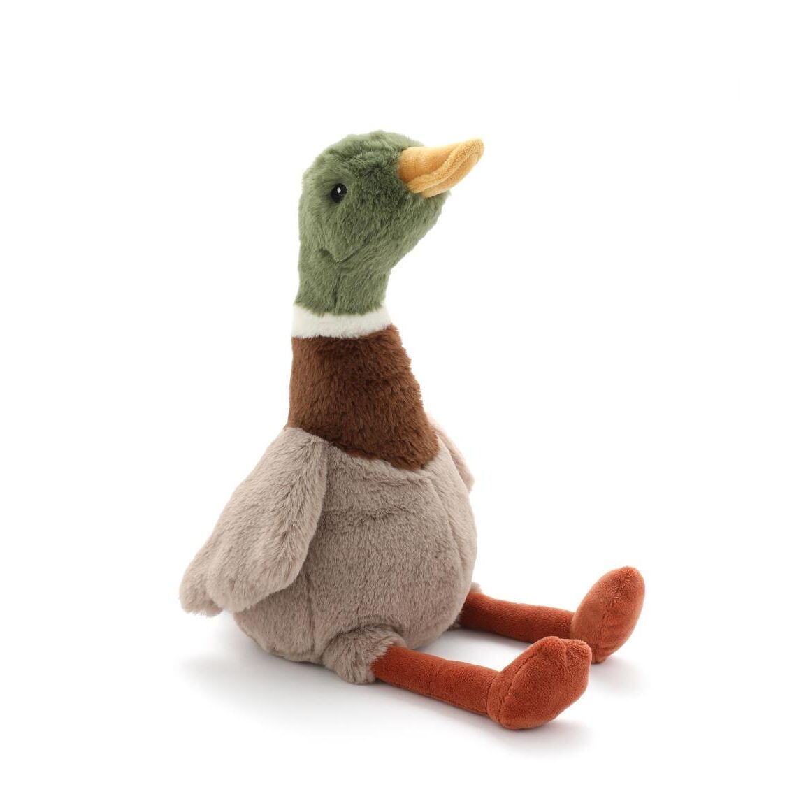 Hugo the Mallard Duck