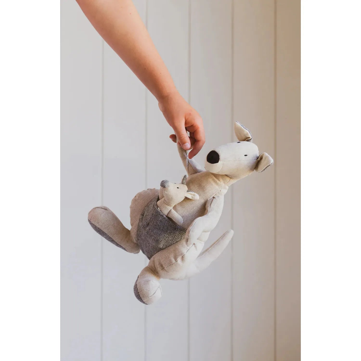 Kylie The Kangaroo