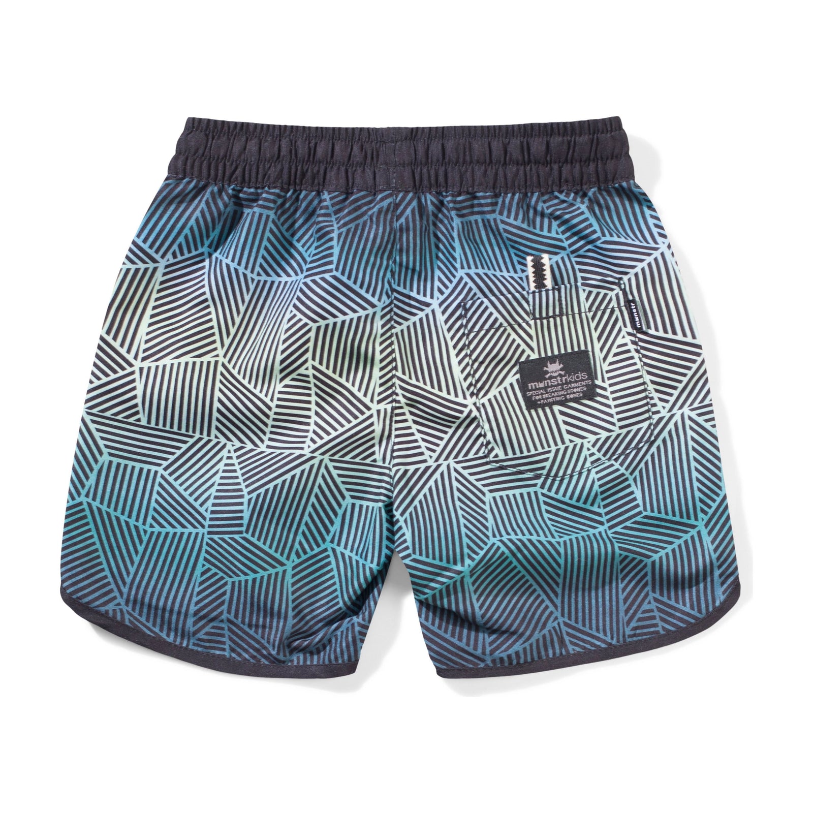 Wavebuoys Bshort - Teal Stripe
