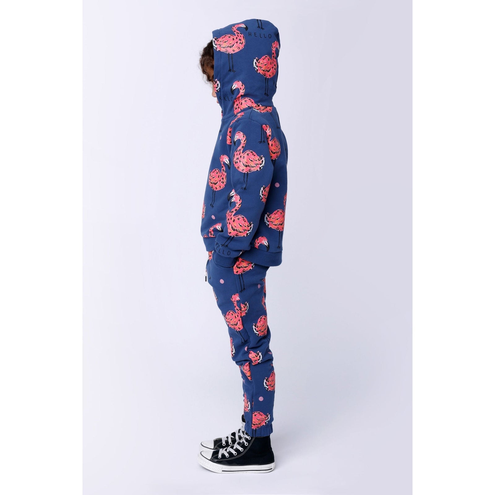Flamingo Party Furry Hood