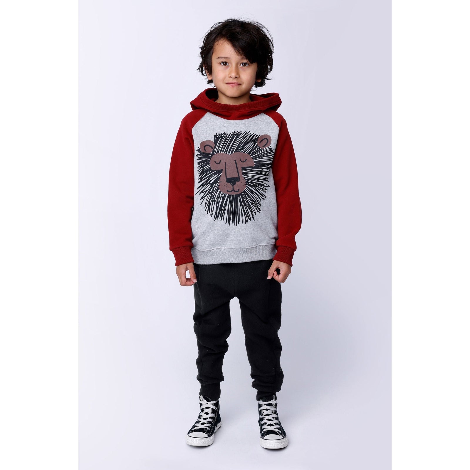 Wild Lion Furry Hood