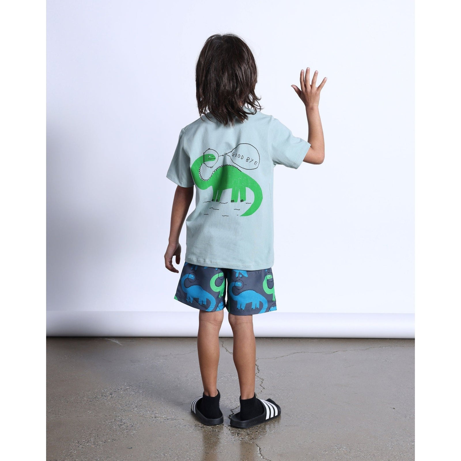 Space Dinos Tee- Sage