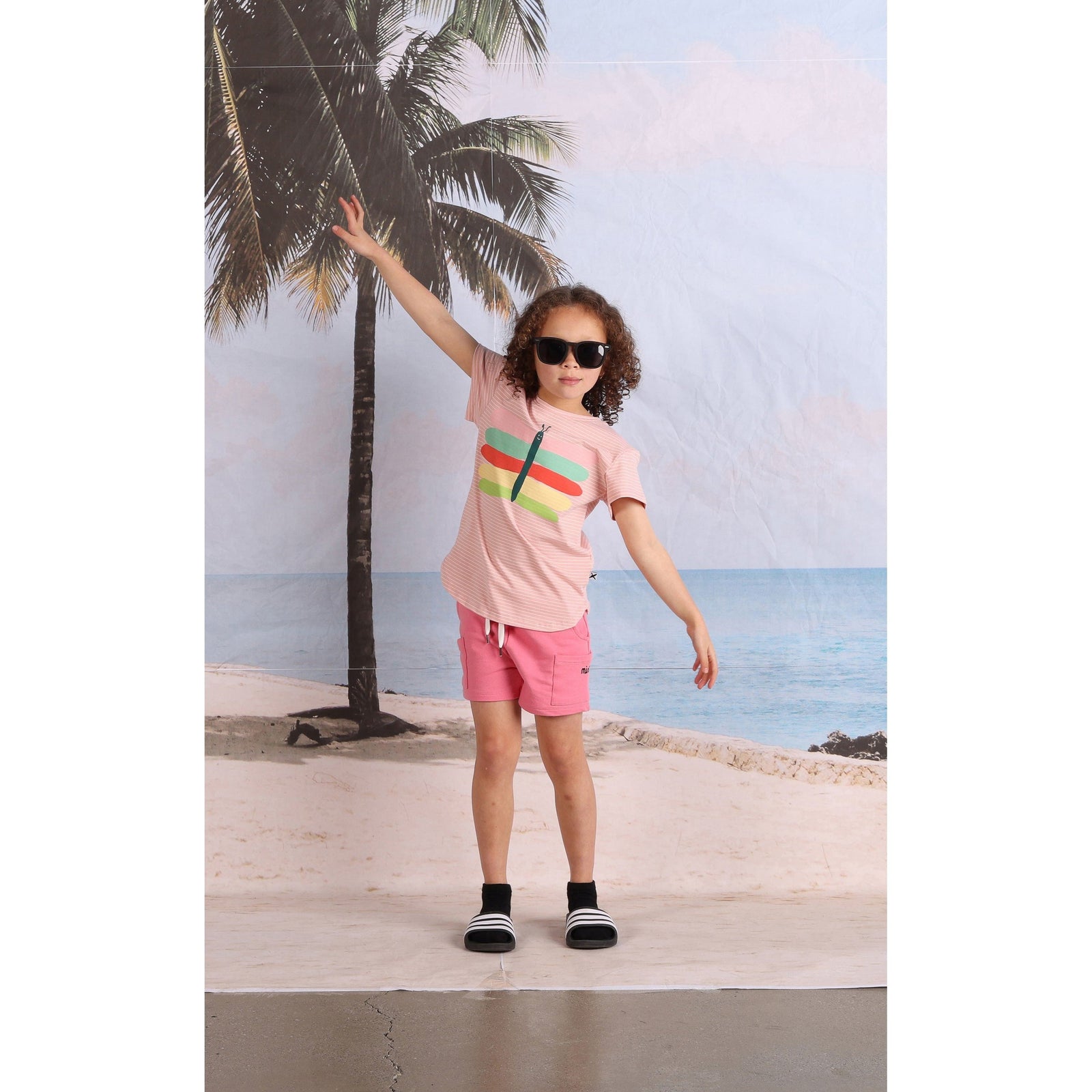 Pastel Butterfly Tee- Ballet Stripe