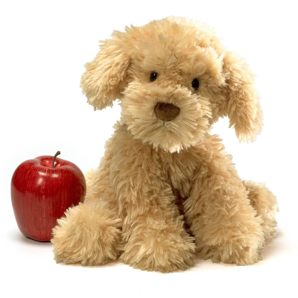 Nayla Cavoodle 26 Cm