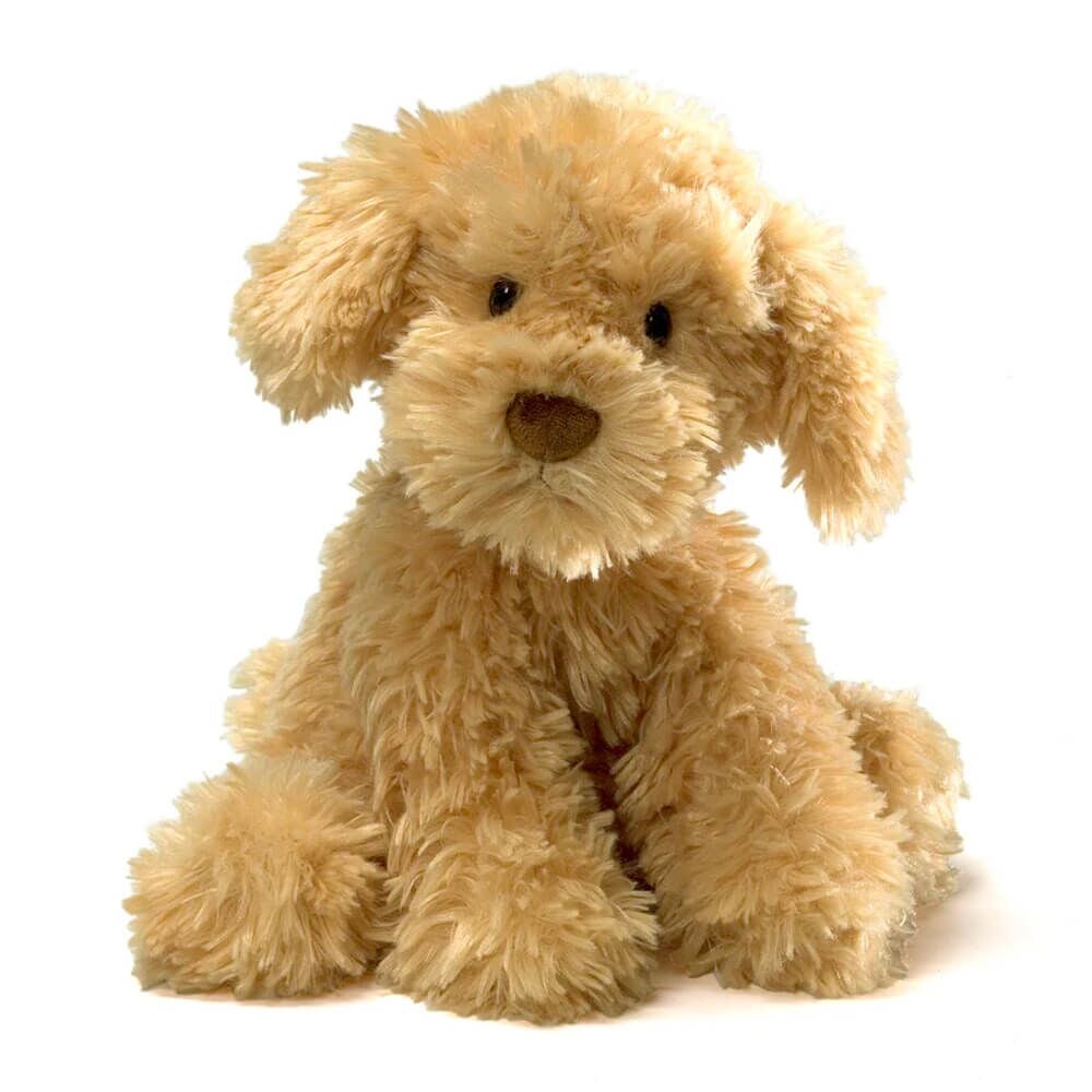 Nayla Cavoodle 26 Cm