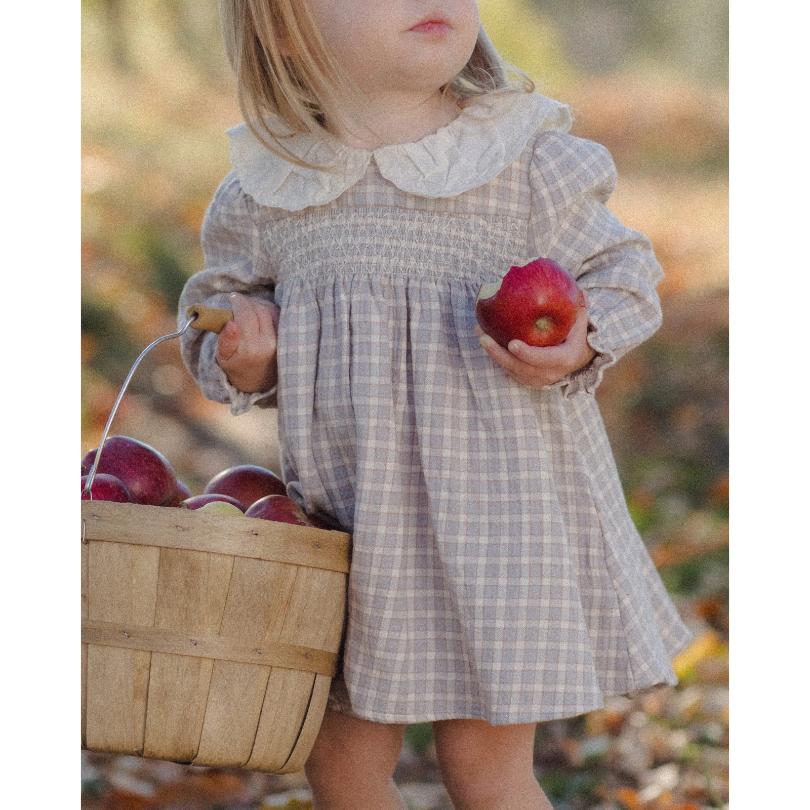 Callie Dress Blue Gingham