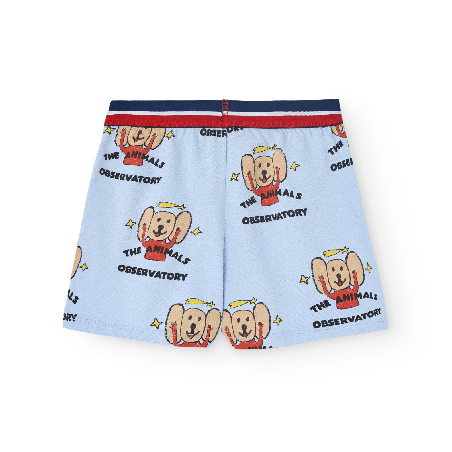 Soft Blue Poodle Shorts