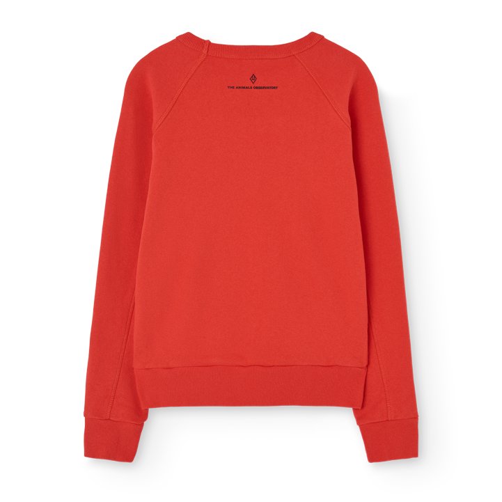 Shark Kid Sweatshirt Red