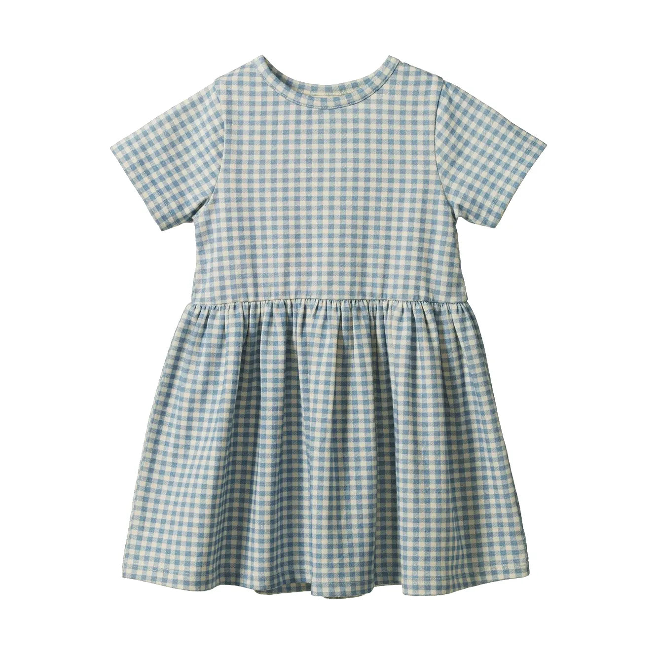 Saturday Dress - Blue Gingham