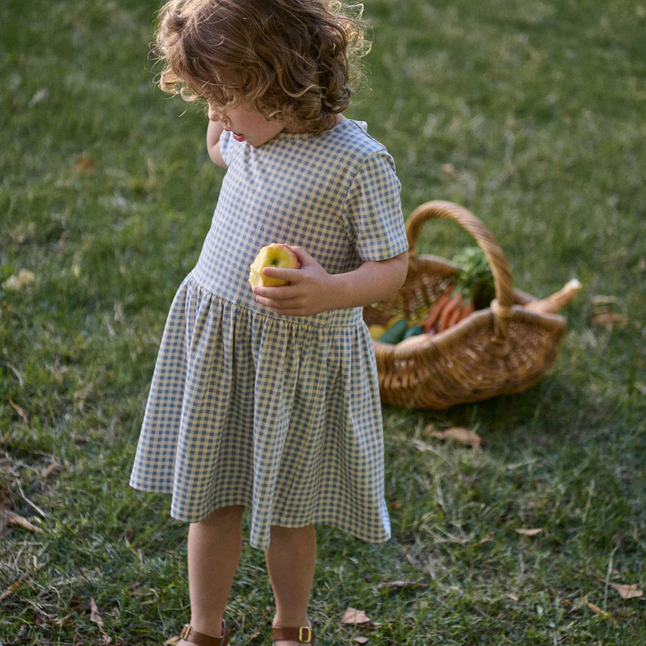 Saturday Dress - Blue Gingham