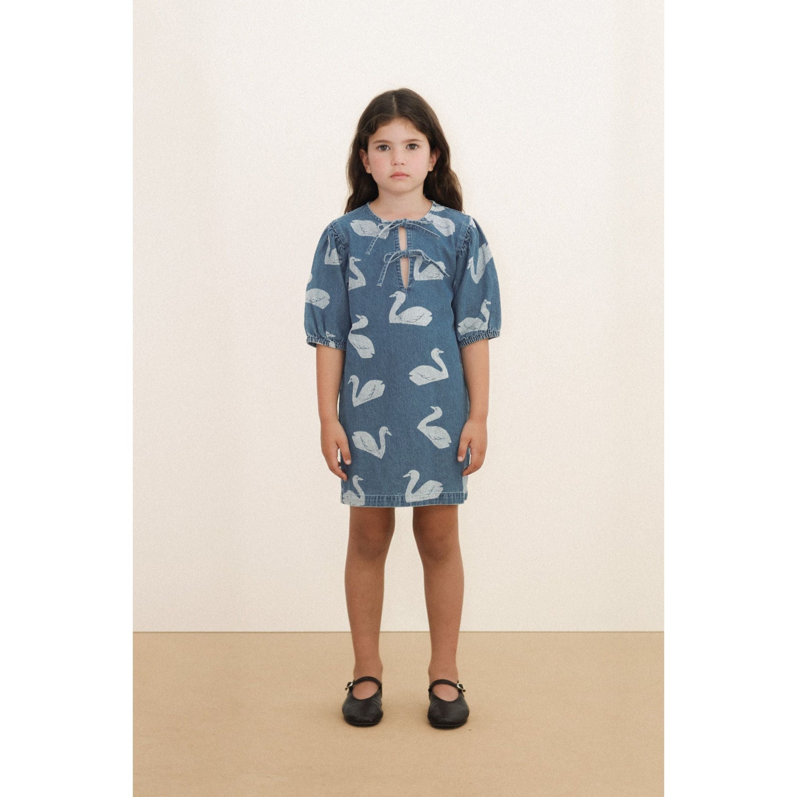 Big Swans Dress