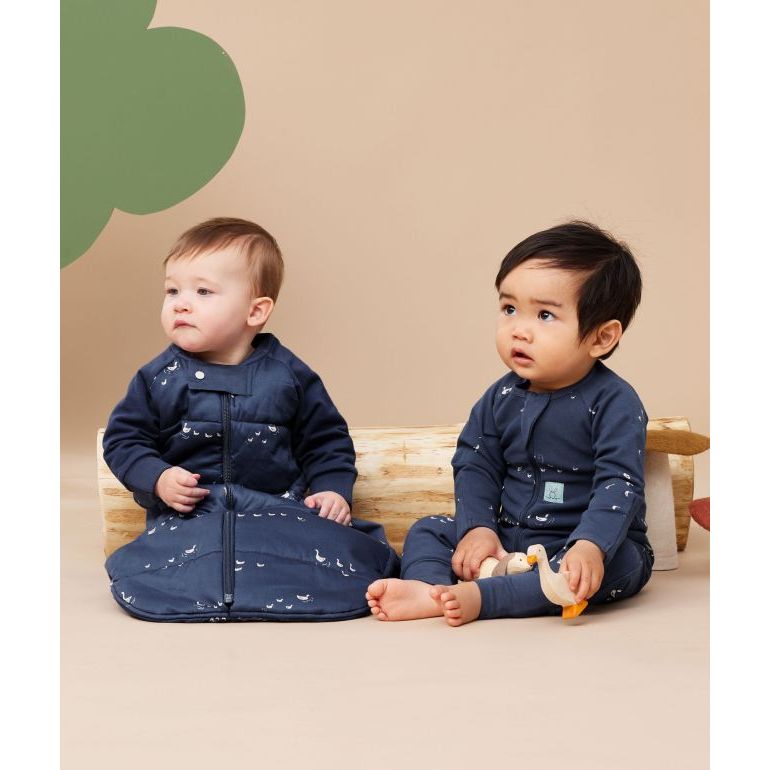 Sleep Suit Bag - Lucky Ducks 2.5 Tog