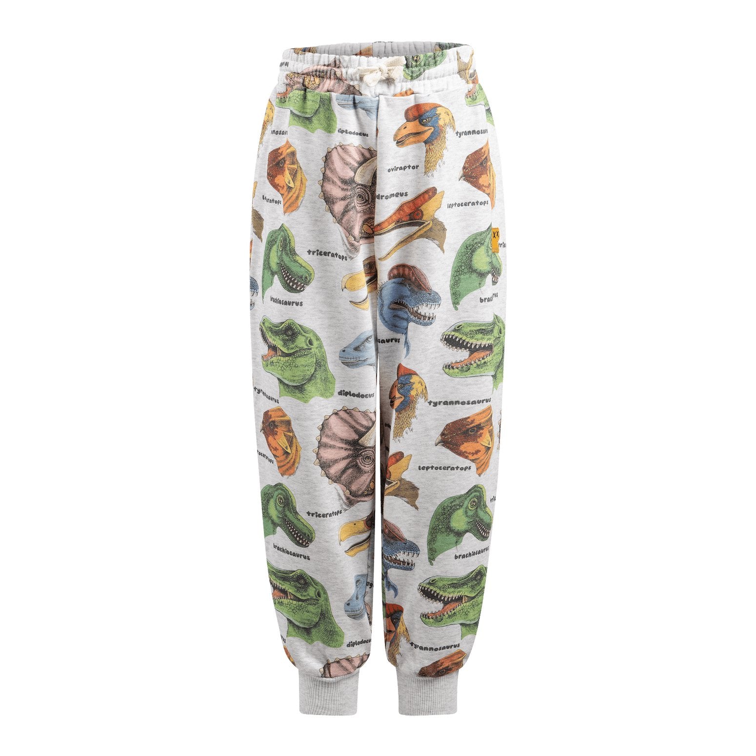 Dino Bright Track Pants