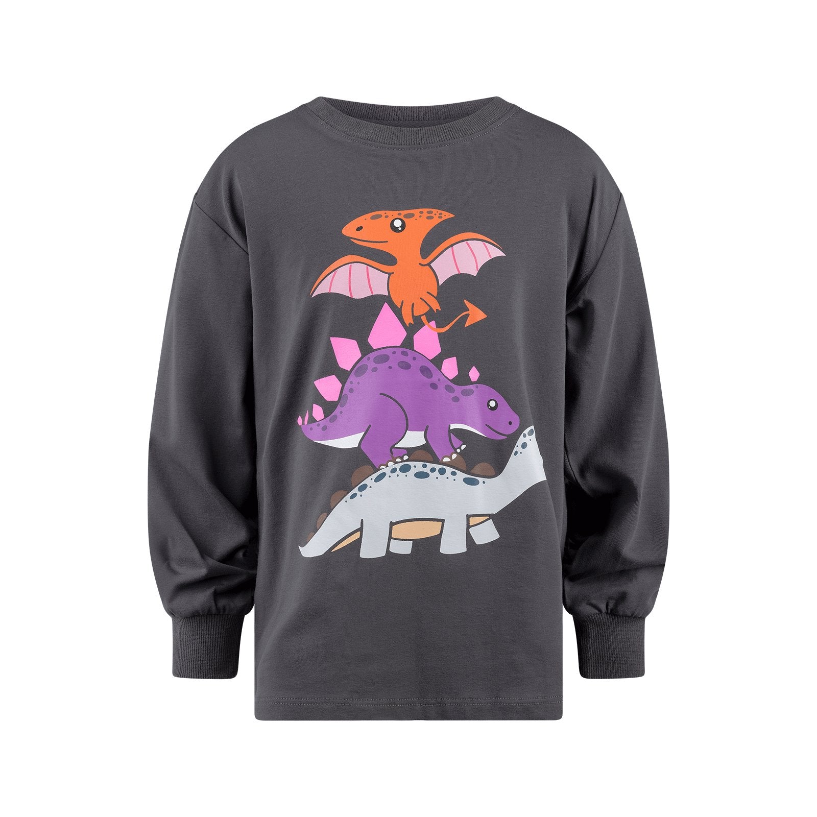Dino Stack Long Sleeve T-Shirt