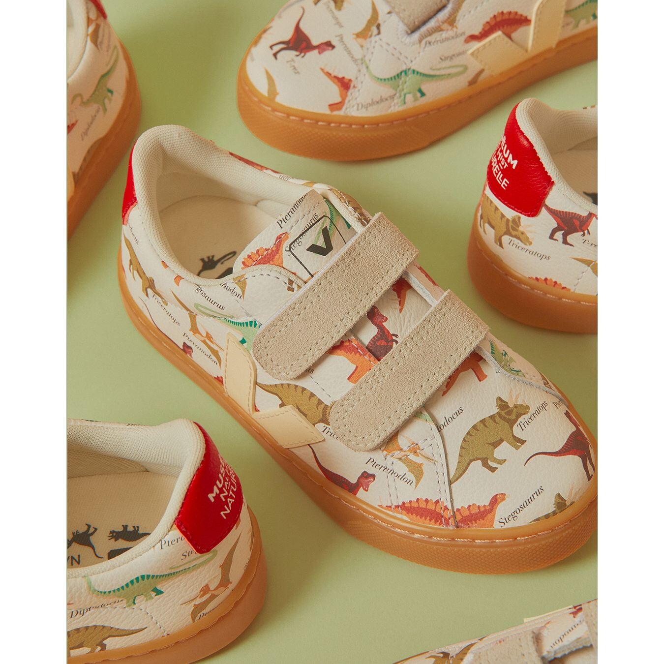 Veja X Museum Small Esplar Leat Dino