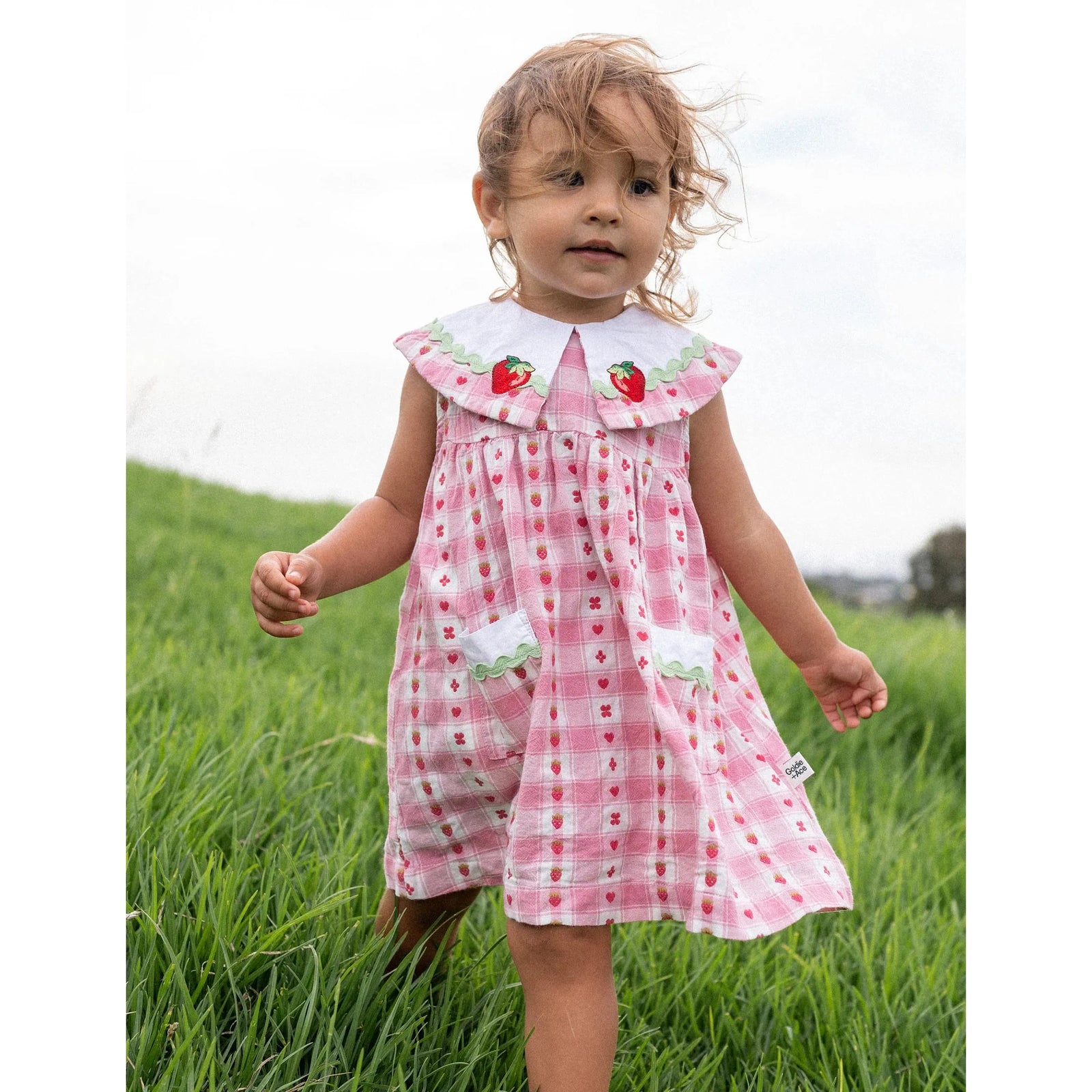 Lucy Collared Very Berry Gingham Dress