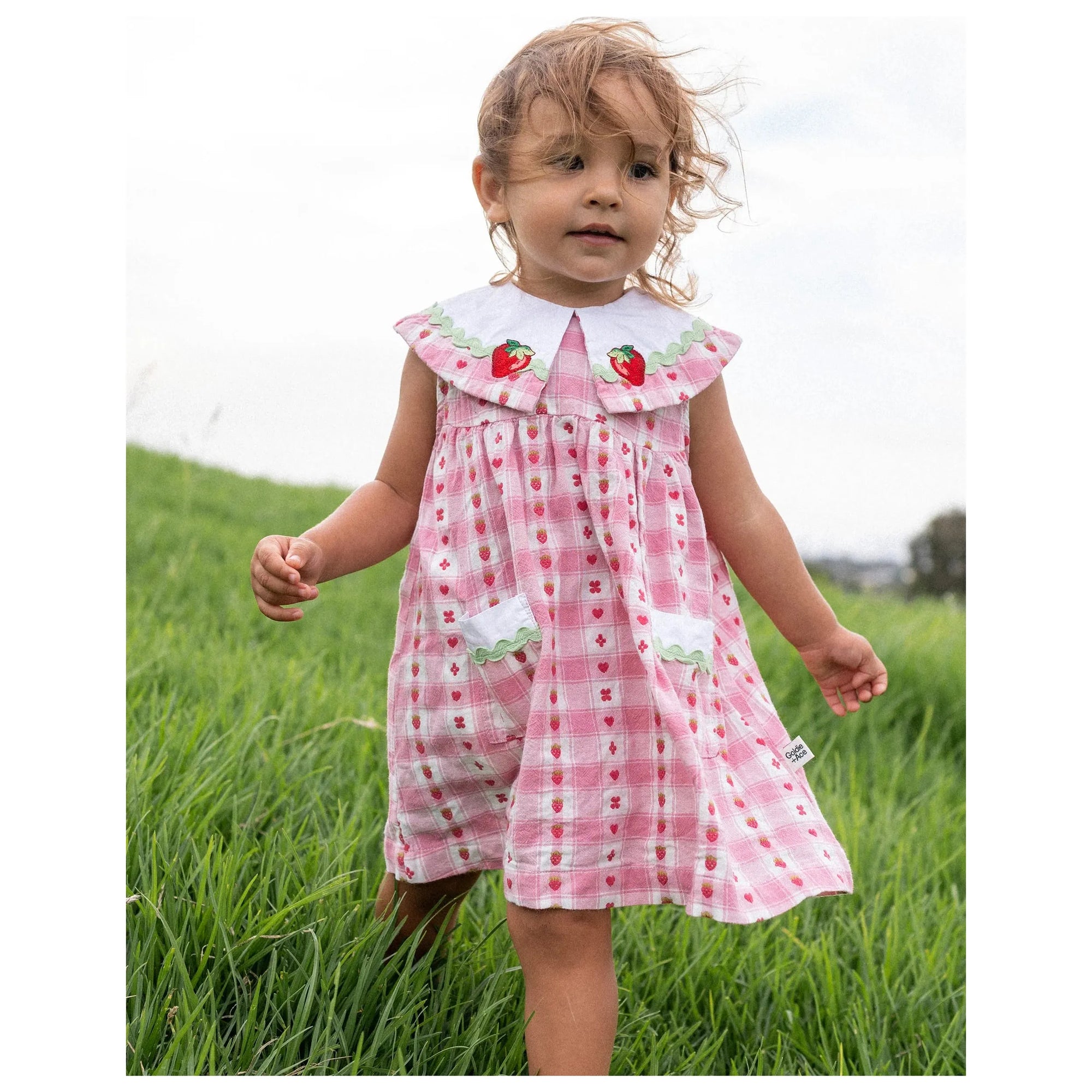 Lucy Collared Very Berry Gingham Dress
