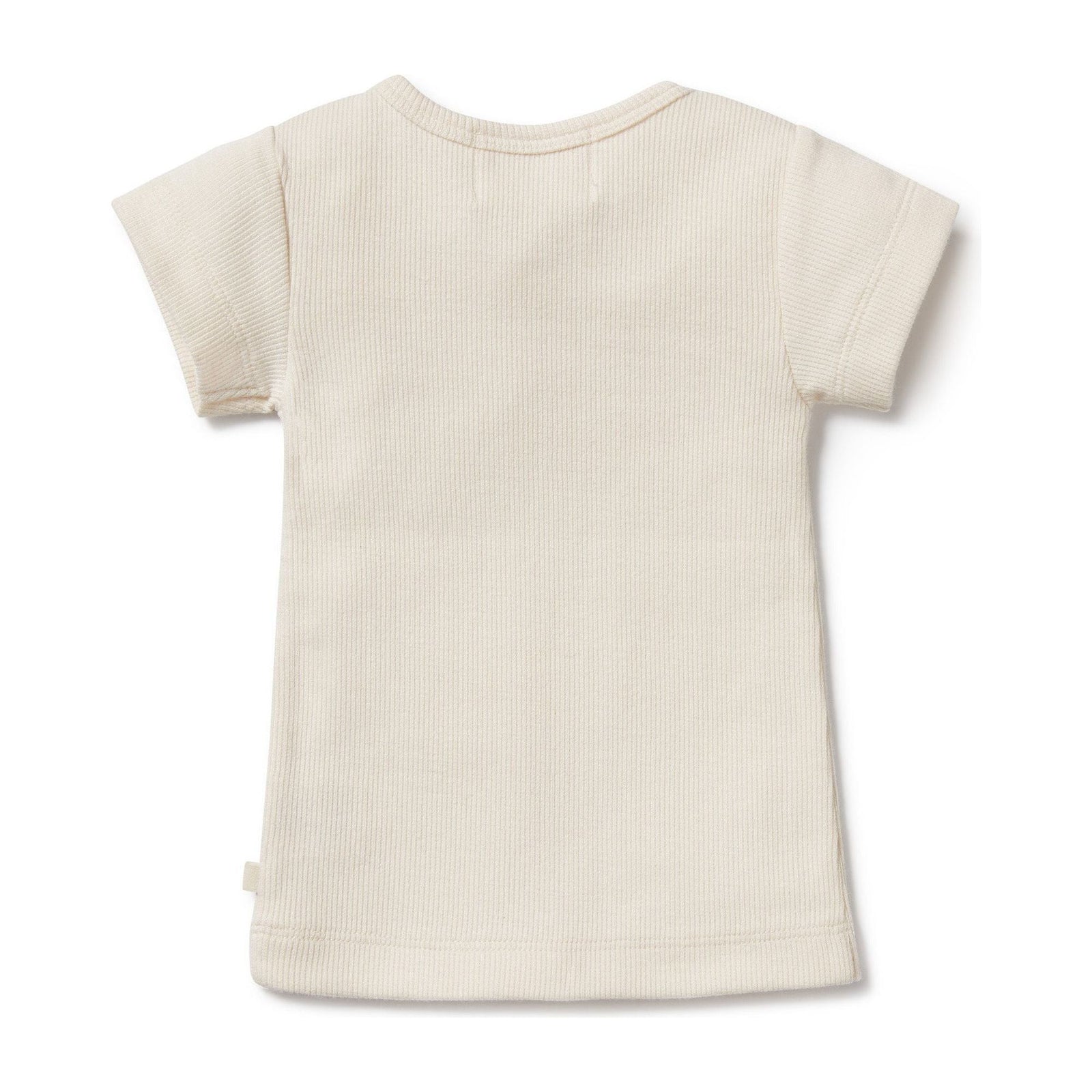 Tiny Turtle Organic Tee
