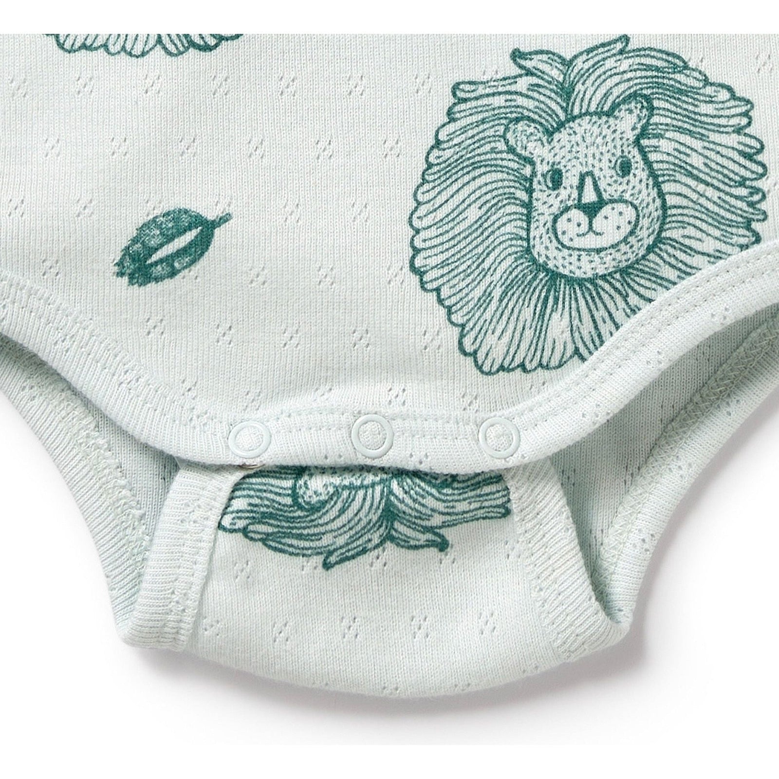 Little Lion Organic Pointelle Bodysuit