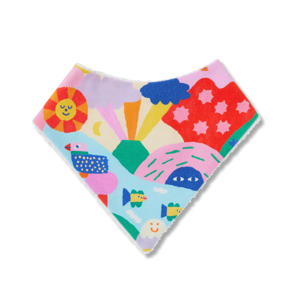 Rainbow Valley Bib