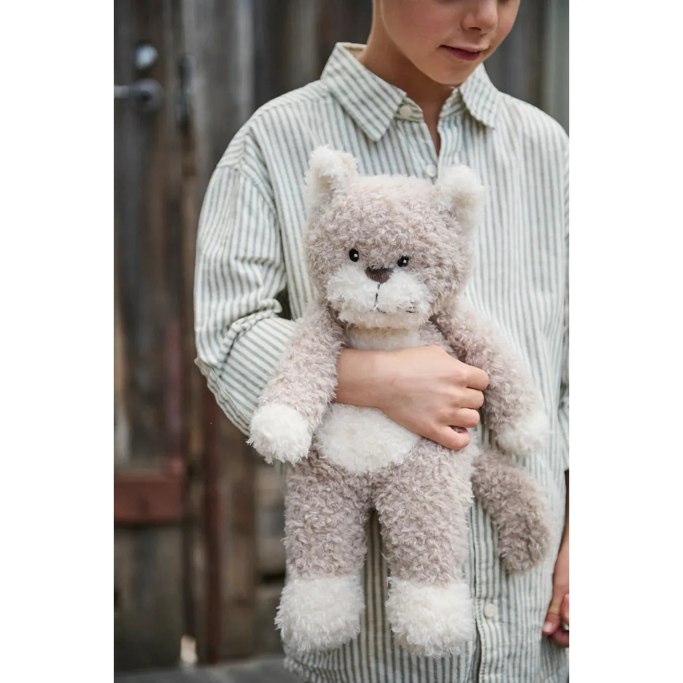 Checkers the Cat - Grey