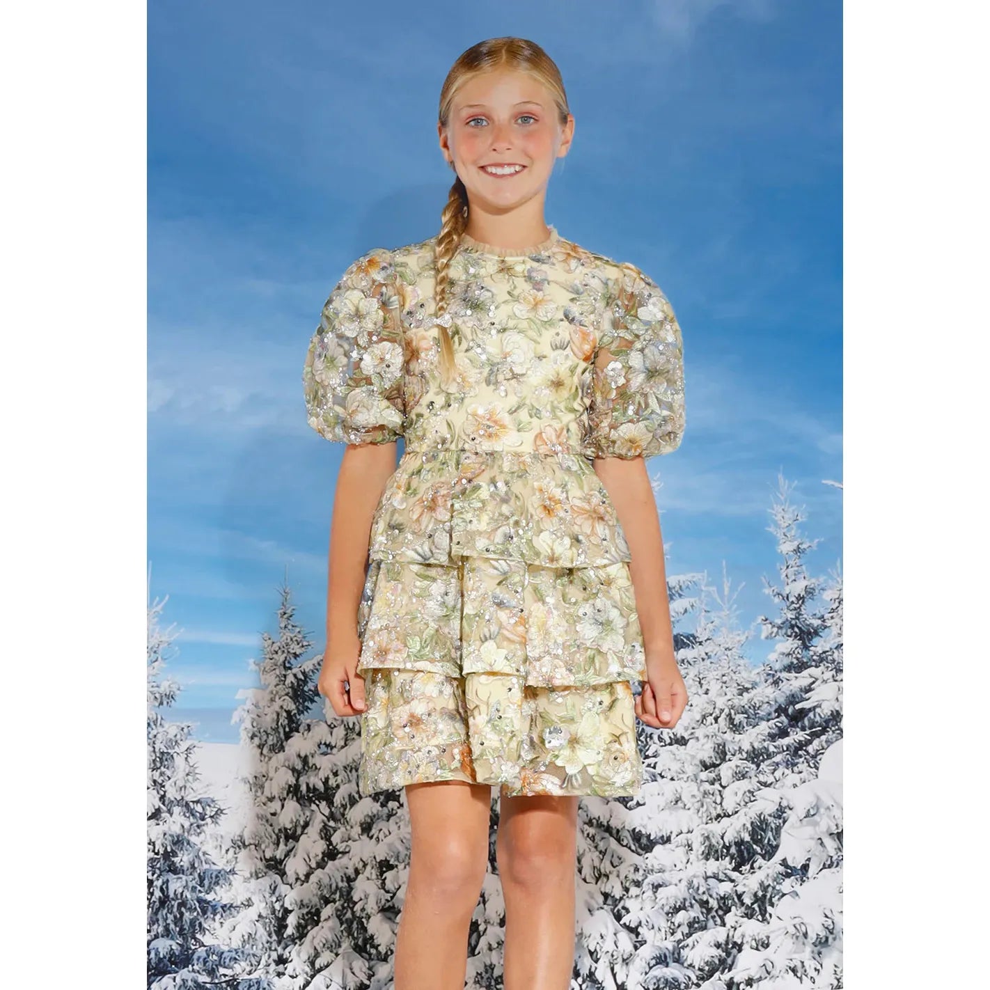 Clarissa Embroidered Dress