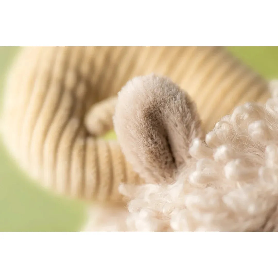 Ramsley Sheep