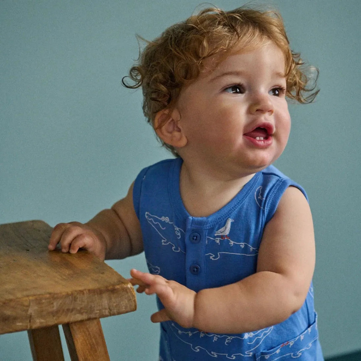 Camper Suit - Curious Crocodiles