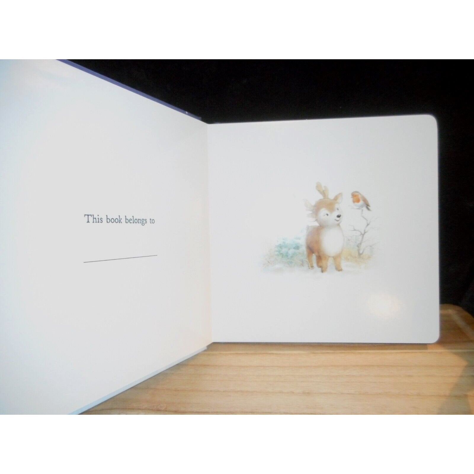 Mitzi Reindeer Dream Book